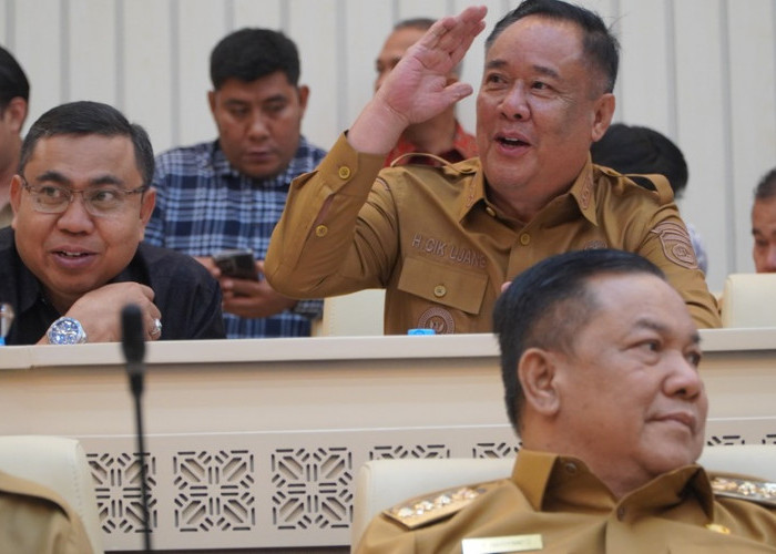 Demi Kesejahteraan Masyarakat, Wagub Sumsel Dorong Optimalisasi Lahan Rawa untuk Pertanian