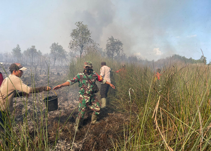 2 Hektar Lahan Gambut di Cengal Terbakar, Pemadaman Terkendala Medan dan Sumber Air