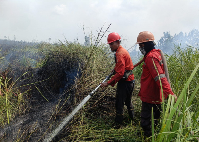 Berkat Kesigapan Tim Gabungan, 10 Hektare Lahan di Ogan Ilir yang Terbakar Dipadamkan dalam Waktu 4 Jam
