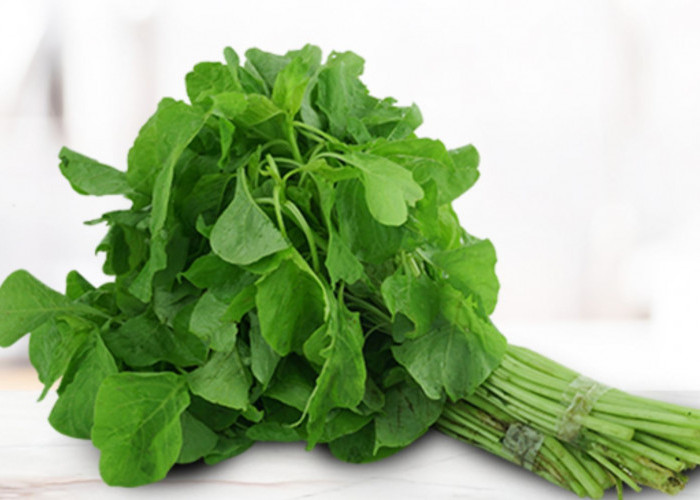 Daftar Sayuran Tahan Panas yang Tetap Subur Meski Jarang Disiram di Rumah: Cocok untuk Musim Kemarau