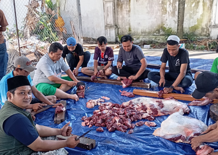 Keluarga Besar PN Palembang Kurban 4 Ekor Sapi, Wujud Nyata Solidaritas Sosial Antar Sesama