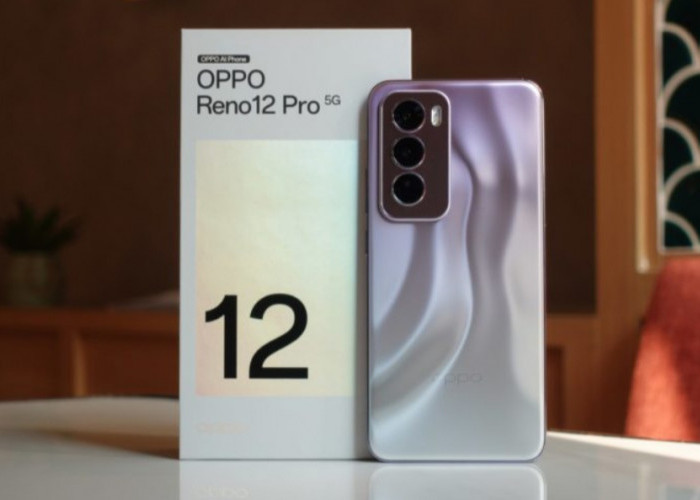 3 HP Mid Range Menawarkan Mampu Rekam Video Profesional, Ada OPPO Reno 12 Pro 5G