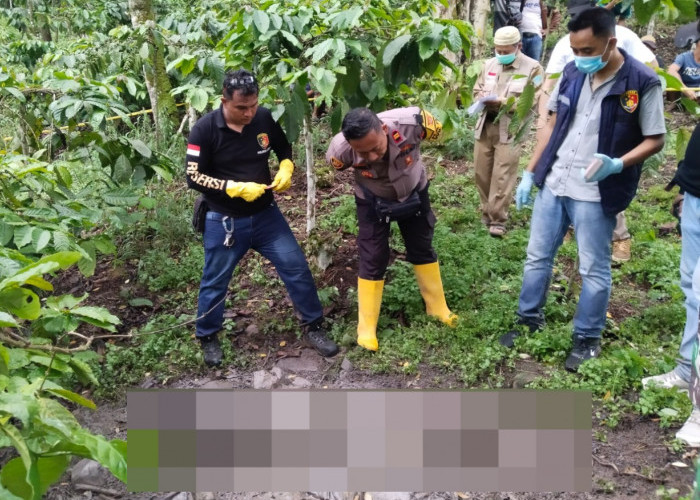 Diduga Korban Pembunuhan, Warga Lahat Ditemukan Tewas di Kebun Kopi, Posisi Tengkurap dan Kaki Terikat