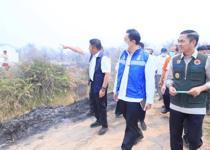 Gubernur Sumsel dan Wamen LH Turun ke Lokasi Lahan Gambut yang Terbakar, Pastikan Penanganan Karhutla