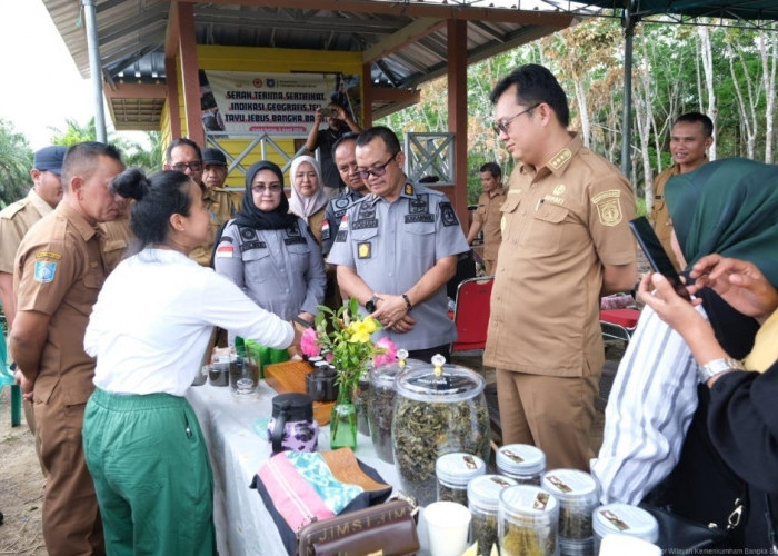 Teh Tayu Jebus Resmi Jadi Indikasi Geografis, Kebanggaan Baru Bangka Barat