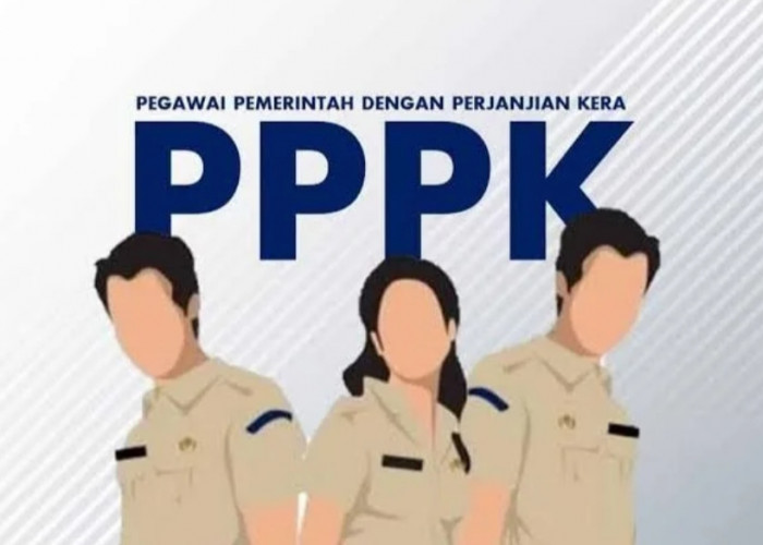 Kota Ini Anggaran Sudah Siap, CPNS dan PPPK 2024 Segera Dilantik, Kabupaten/Kota Lain! 