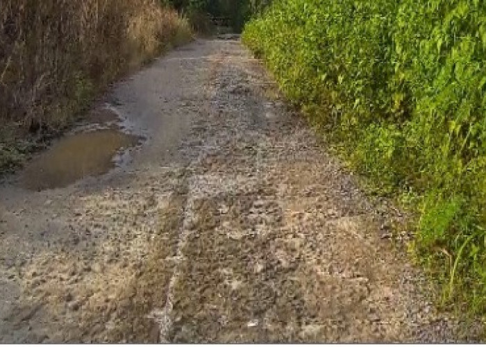 Jalan Rusak di Desa Kuang Dalam-BRK Ogan Ilir Dikeluhkan Warga, Lantaran Bikin Aktivitas Terganggu