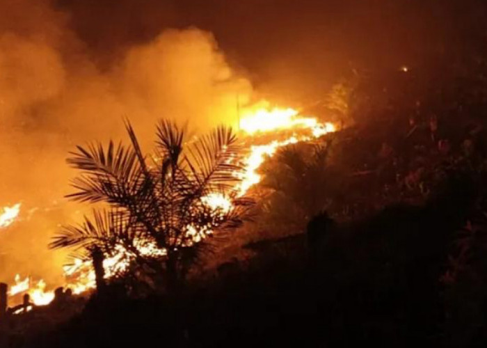 Alat Pemadam Sulit Jangkau Titik Api di Gunung Megang, Akses Menuju Lahan Terjal & Sumber Air Mengering 