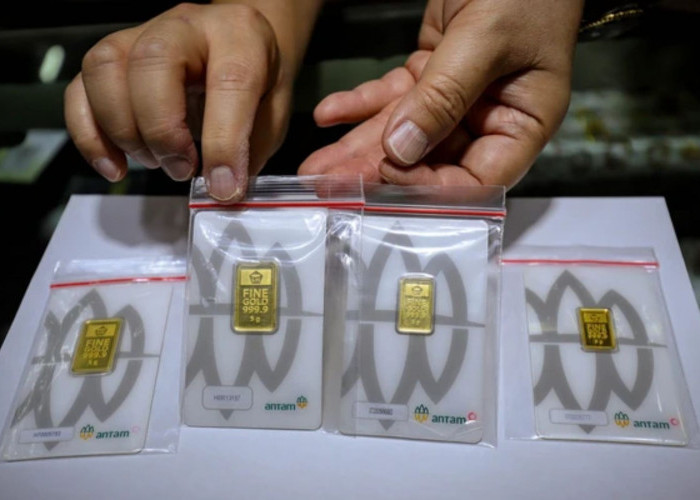Update Harga Emas Antam Hari Ini, Jumat 14 Agustus 2026: 1 Gram Tembus Rp2,8 Juta
