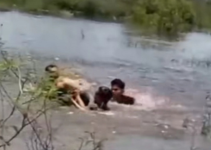 Bermain di Sungai Pulang Sekolah, 3 Bocah di Tulung Selapan OKI Tenggelam, 1 Orang Meninggal 