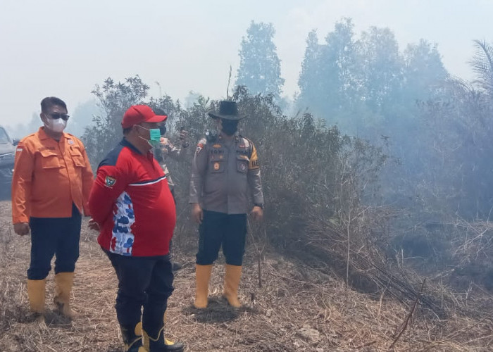 Sekda Muara Enim Tinjau Kebakaran Lahan Seluas 150 Hektar Milik PT SAM