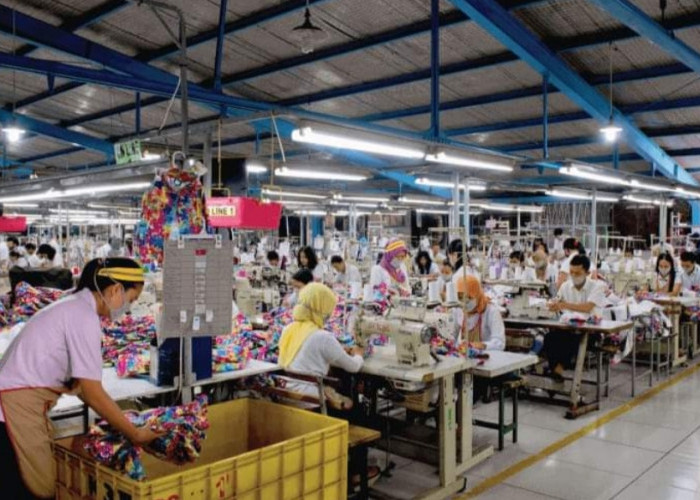 Pro Kontra Pemotongan Gaji Pekerja Swasta Sebesar 3% untuk Tapera, Ini Pembelaan Jokowi
