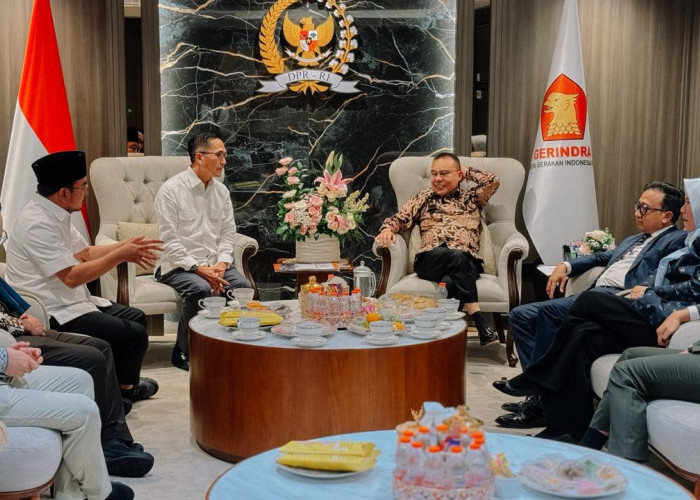 Ratu Dewa Dapat Lampu Hijau dari Dasco untuk Percepatan Pembangunan Palembang