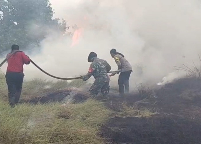Lahan Semi Gambut Seluas 15 Hektare di Ogan Ilir Terbakar, Tim Gabungan Perkuat Pemadaman
