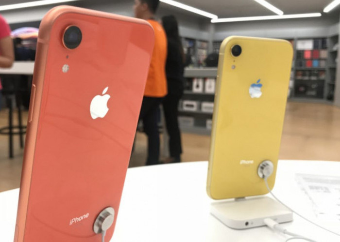 Harga Makin Murah, 5 Alasan iPhone XR Tak Layak Dimiliki Tahun 2024