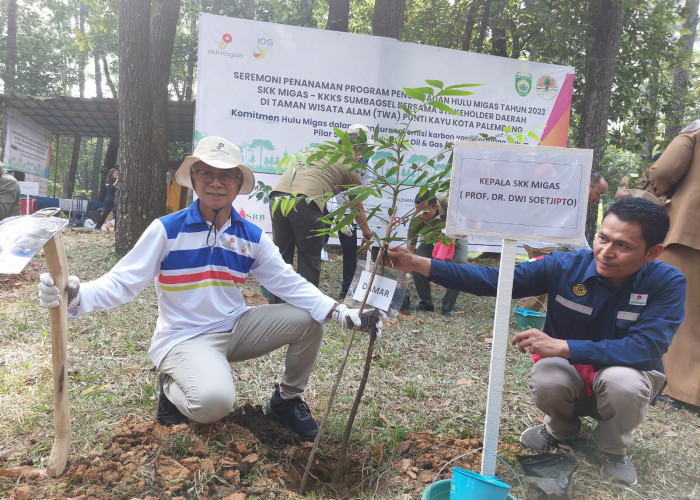 SKK Migas Tanam 5337 Bibit Pohon di Punti Kayu Palembang, demi Jaga Komitmen Turunkan Emisi Karbon 