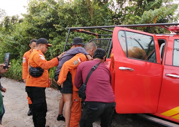  Melompat dari Pos, Karyawan Batu Bara di Banyuasin Ditemukan Tim SAR Gabungan di Hutan, Kondisi Linglung