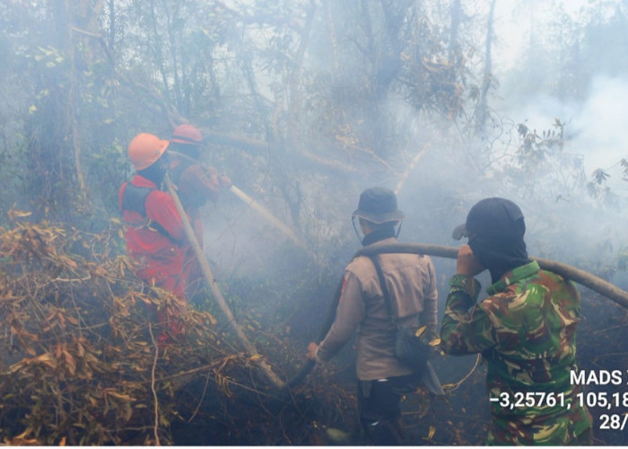 Satgas Karhutla Masih di Lokasi Lakukan Pemadaman dan Pengecekan Meskipun Hujan telah Turun di OKI