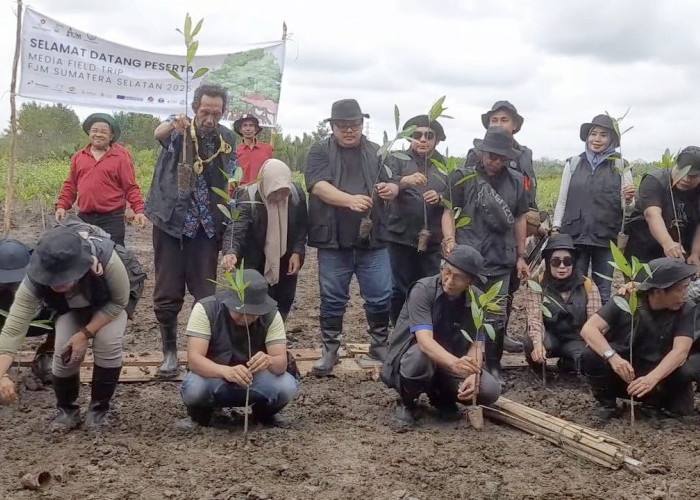 Komitmen Pelestarian Alam, SKK Migas-KKKS Sumsel Gandeng Wartawan Tanam Bibit Mangrove di Sungsang