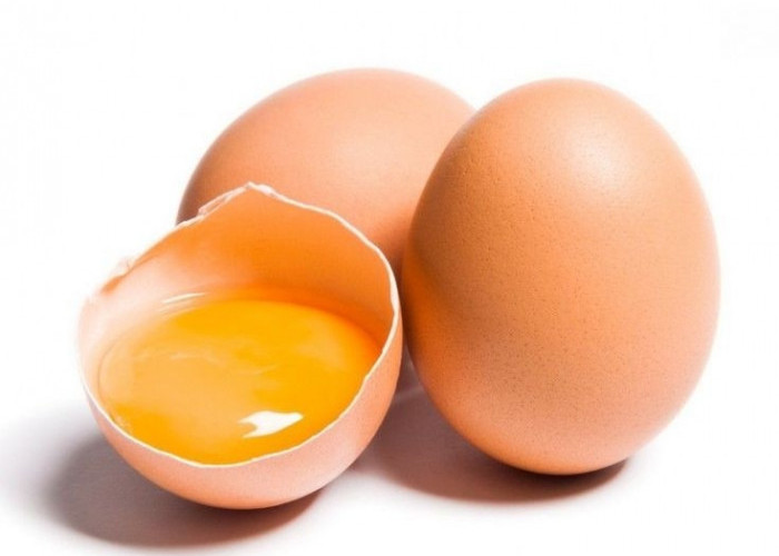 Benarkah Sering Mengkonsumsi Telur Bisa Menyebabkan Bisul? Yuk Cek Faktanya Disini
