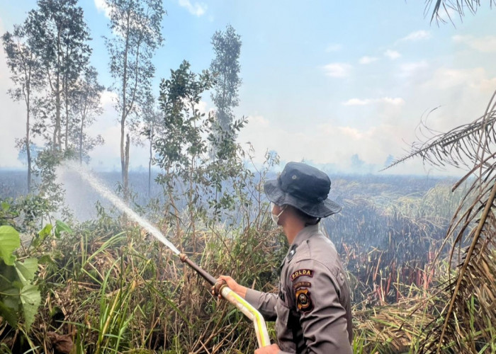 Tim Gabungan Operasi Aman Nusa II Tangani Karhutla di Sungai Menang