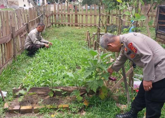 Polsek Tanjung Batu Dukung Ketahanan Pangan, Laksanakan Pengecekan Kebun Pekarangan Pangan Lestari