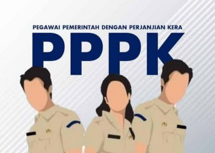 BKN Ungkap 130 Ribu Formasi PPPK 2024 Kosong, Pengangkatan Paruh Waktu Berjalan