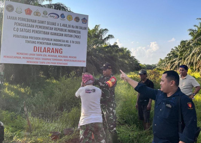 Melebihi Batas Lahan, Tim Satgas PKH Pasang Plang di PTPN 7 Betung Banyuasin