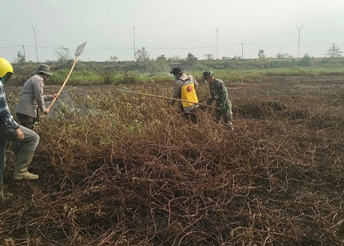 Karhutla 6 Hektar di Desa Batun Baru Jejawi OKI Berhasil Dipadamkan Babinsa dan Tim Gabungan 