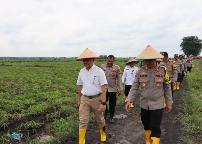 Dukung Program Presiden Prabowo, Forkopimda Ogan Ilir Lakukan Penanaman Bibit Pangan Serentak