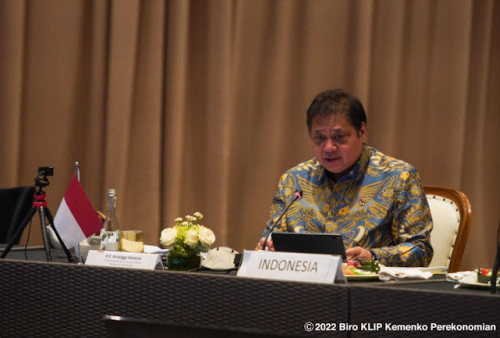 Menko Airlangga: Menteri CPOPC Fokuskan Minyak Sawit sebagai Solusi 