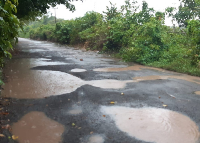 Jalan Akses Tanjung Batu-Burai Ogan Ilir Alami Kerusakan, Dinas PUPR Bakal Segera Lakukan Perbaikan