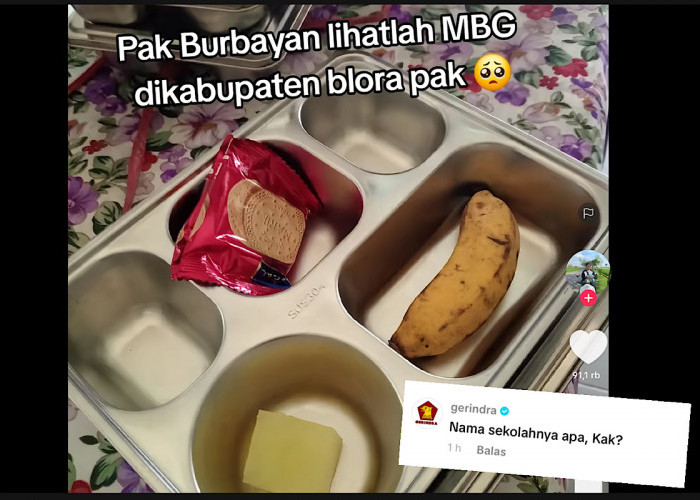 Foto Miris MBG di Akun Ini Gercep Direspon Gerindra, Emak-emak Ramai Kirim Foto