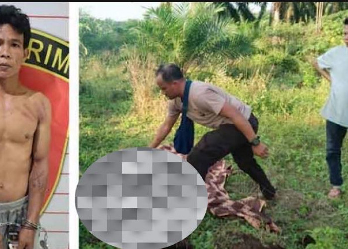 2 Penjaga Sawit Tak Selamat Diserang Brutal 4 Pencuri Tandan Sawit yang Kepergok Masuk Kebun Haji Tahang 