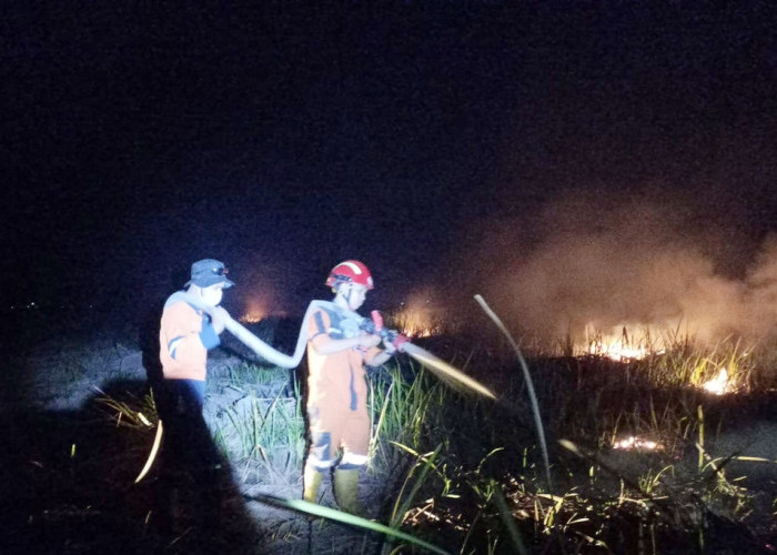 65 Hektare Lebih Lahan di Ogan Ilir Terbakar, Ada di Areal PTPN 7 dan PT Buyung