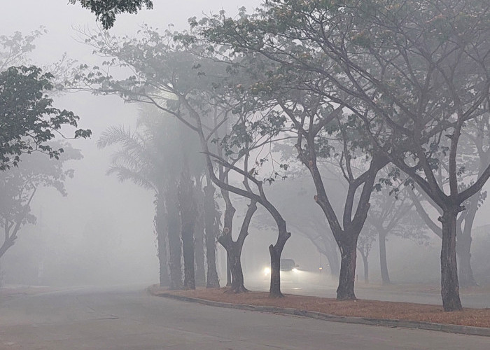 Kualitas Udara Palembang Masih Memburuk, Musi 2 dan Talang Betutu Masuk Kategori Berbahaya