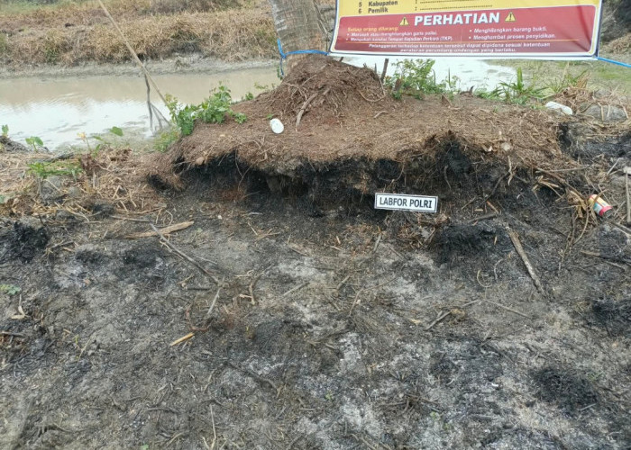 Polres OKI Temukan Warga Bakar Lahan untuk Tanam Padi Terancam 3 Tahun Penjara
