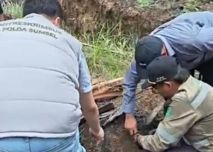 Polda Sumsel Gandeng Ahli IPB Usut Karhutla di Lahan HGU Ogan Ilir, Sampel Tanah Diuji Laboratorium