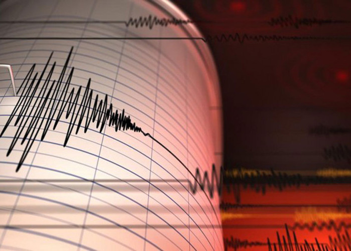 Gempa Susulan Guncang NTT, Kekuatan Mencapai Magnitudo 6,2