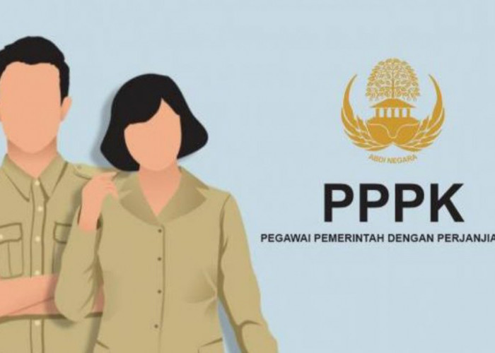 Benarkah Gaji PPPK Paruh Waktu Dibawah UMK? Bikin Honorer Gelisah Bertentangan Arahan Pemerintah