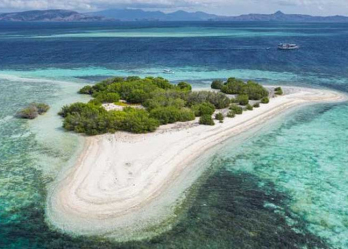 Nelayan NTT Klaim Pulau Pasir, Kemenlu RI Tegaskan Milik Australia