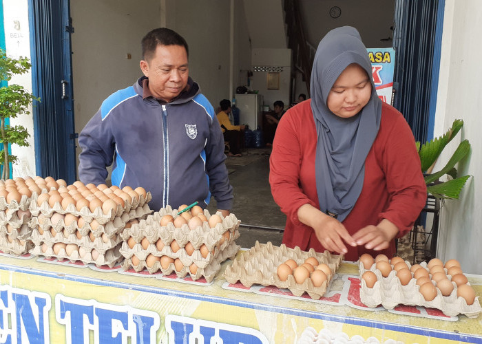 Harga Telur Terus Meroket, Tembus Diatas Rp50.000 Per Karpet
