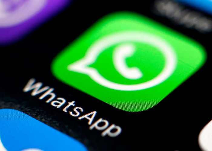 WhatsApp Tidak Bisa Kirim Foto: Berikut 6 Cara Mudah Mengatasinya