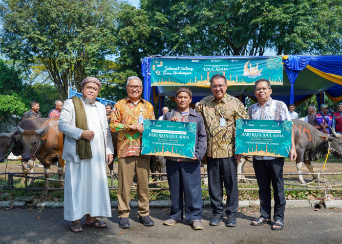 PT Pusri Palembang Salurkan 60 Hewan Kurban Menjelang Idul Adha 1446 H ke Kampung Sehati