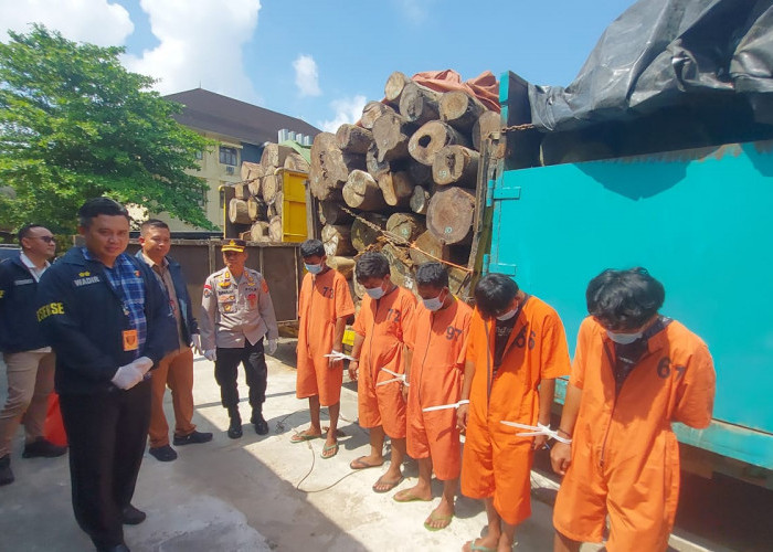 Angkut Ratusan Batang Kayu Log dari Hutan di Muba, 5 Sopir Ditangkap Polda Sumsel, Siapa Pemiliknya?