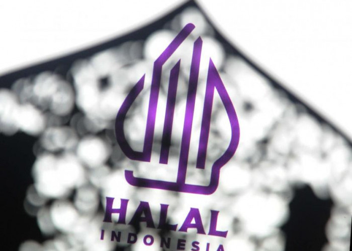 50 Persen Pelaku UMKM Terima Setifikat Halal Produk