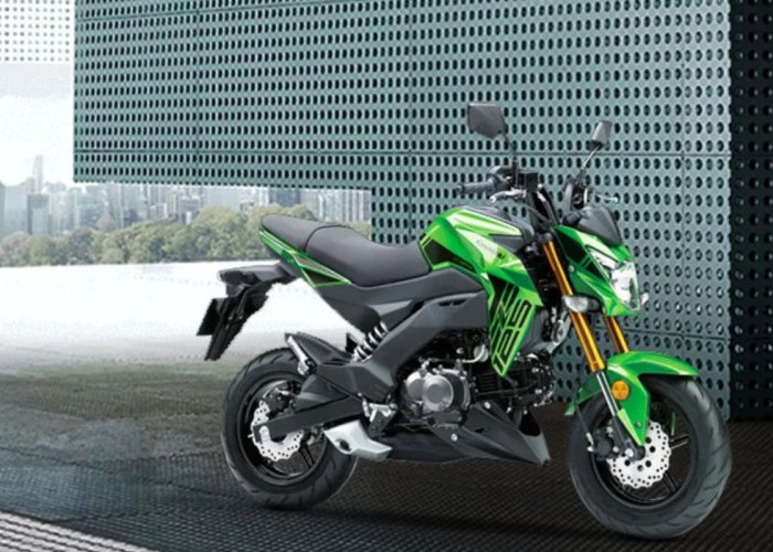 Kawasaki Z125 PRO SE Usung Suspensi Upside Down, Mini Naked Bike dengan DNA Sporty Z Series