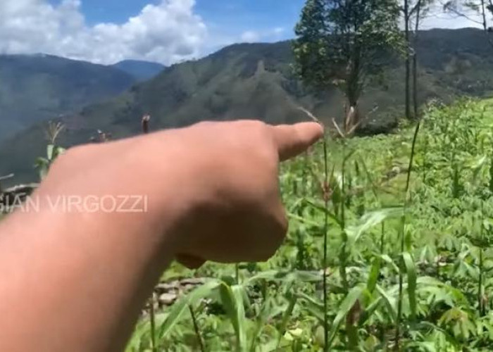 HOT NEWS…Mantan KKB Bocorkan Penembak Gelap Pesawat di Hutan Papua, Gak Pake Lama Langsung Disikat Sniper TNI
