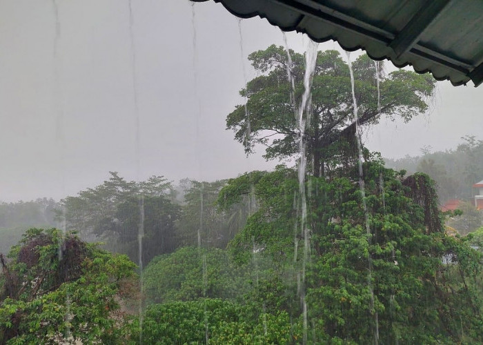 BMKG Prakirakan Hujan Ringan hingga Sedang Guyur 17 Daerah di Sumsel, Warga Diminta Waspada Pada 30-31 Januari