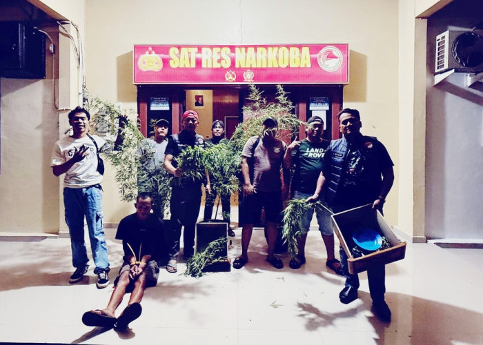 Gerebek Kontrakan di Banding Agung, Satres Narkoba Polres OKU Selatan Temukan 3 Batang Ganja